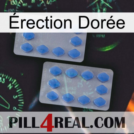 Érection Dorée 20